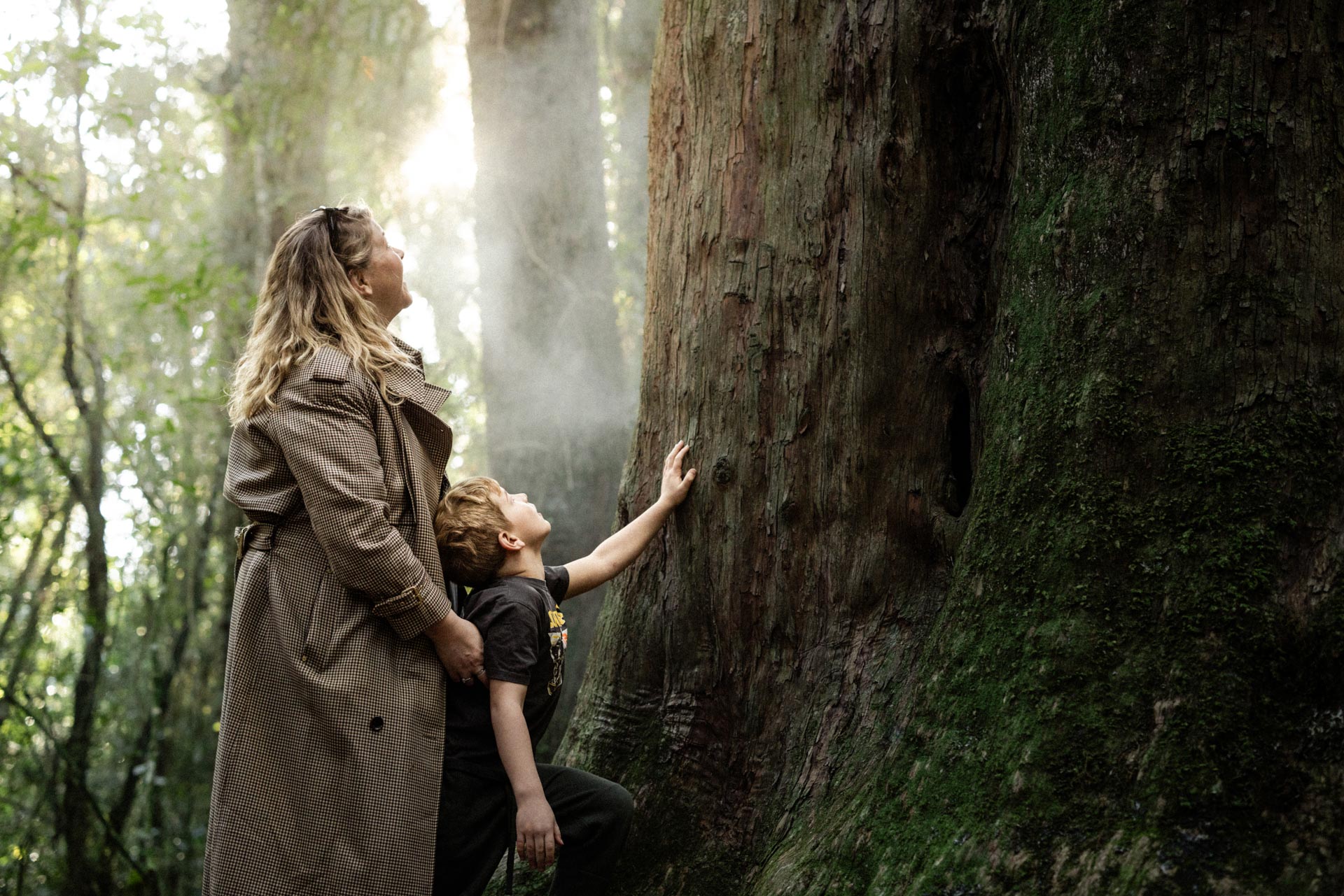 Camille and her son admire an ancient giant Totara tree in Peel Forest.