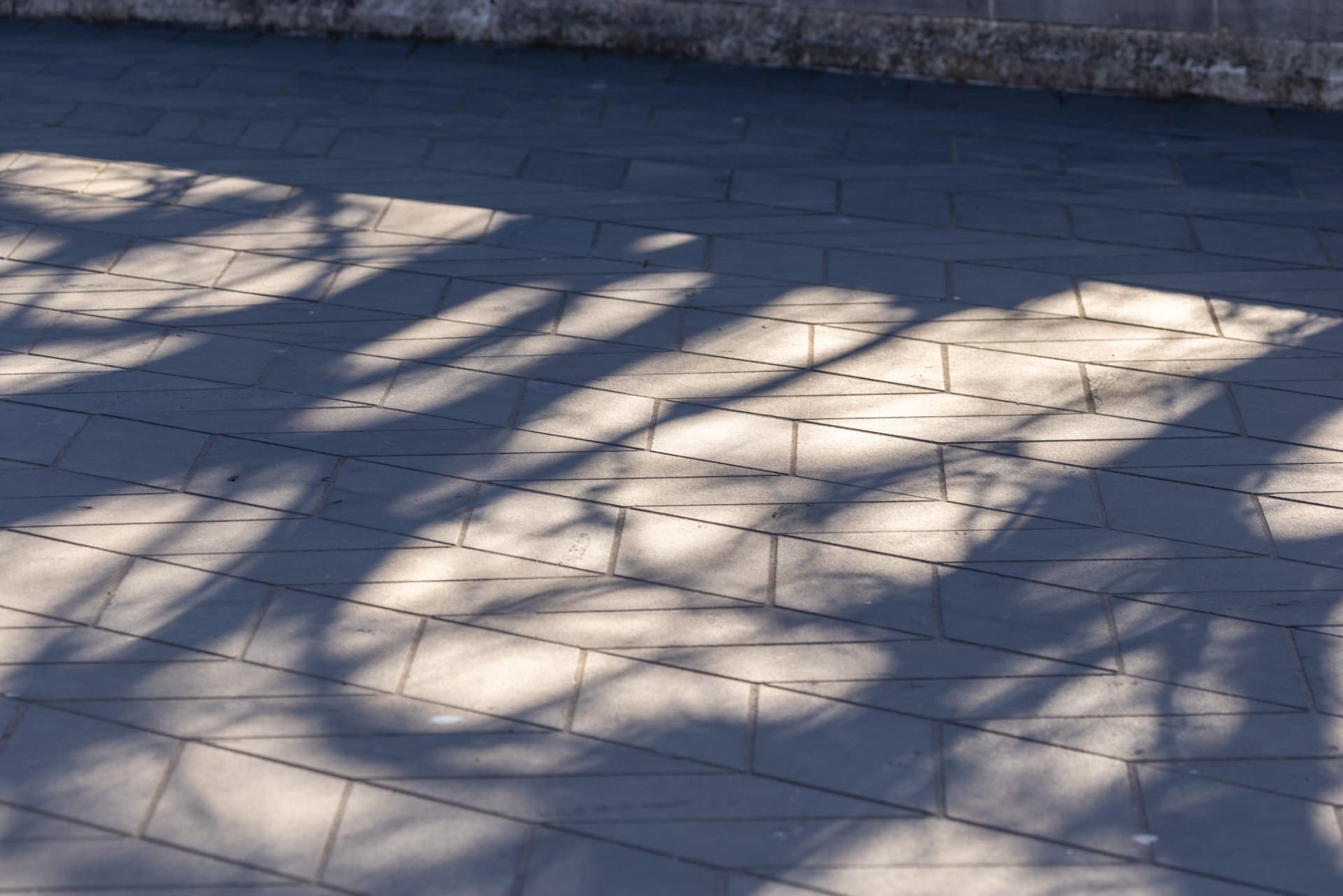 Chevron-pattern paving stones under dappled tree shadows